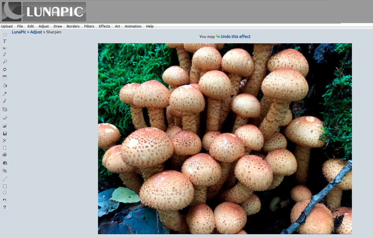Verscherp de afbeelding met behulp van de LunaPic-editor..