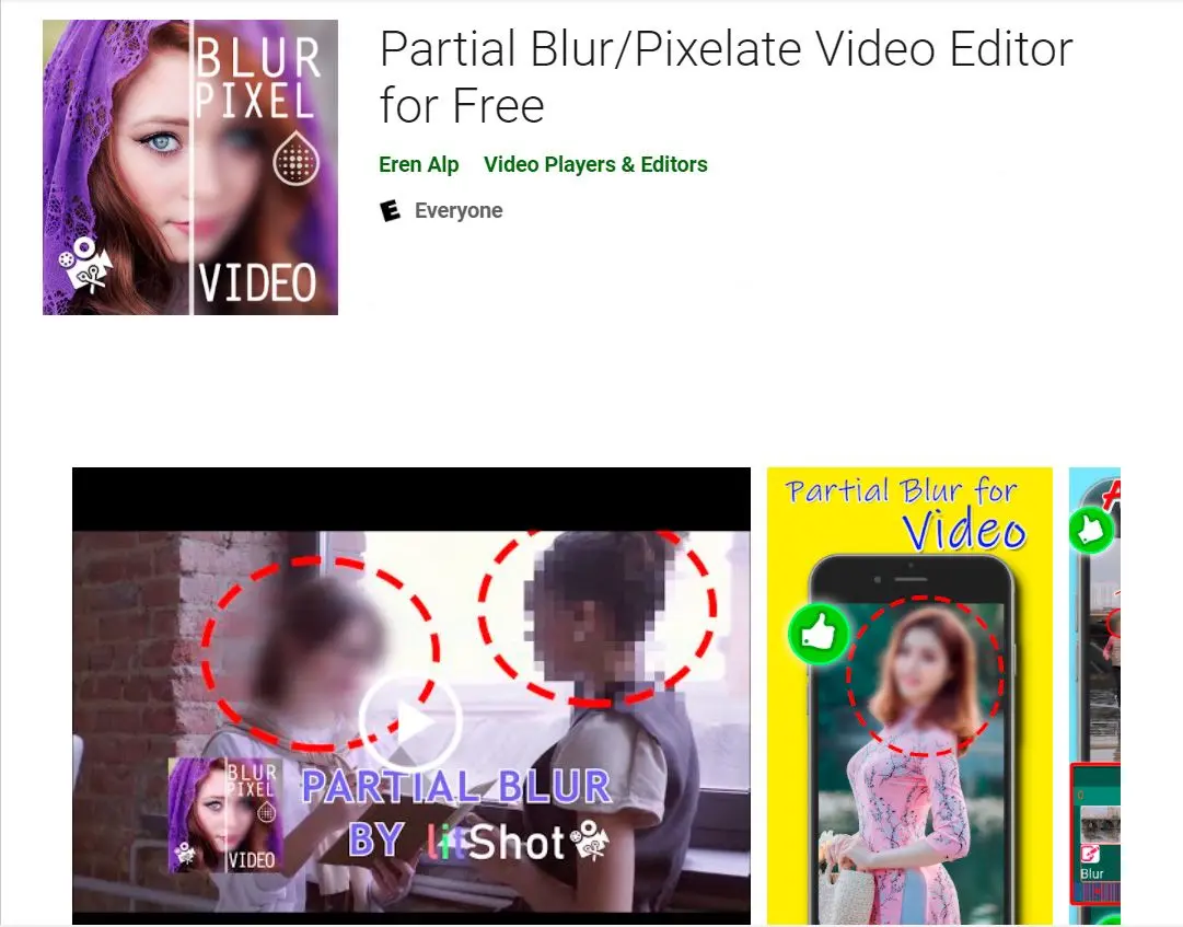 Partiële vervaging/pixelatie video-editor..